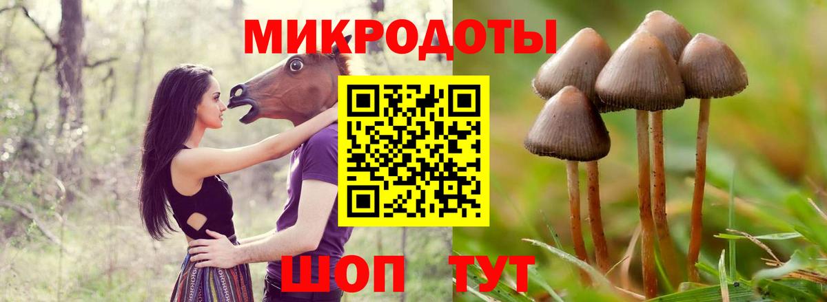 цены наркотик  Галлюциногенные грибы мухоморы  Вход с VPN  Холмск 